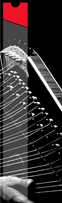 zither7